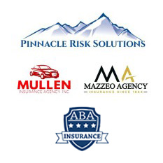 Pinnacle Ins Sol LLC dba Pinnacle Risk Solutions